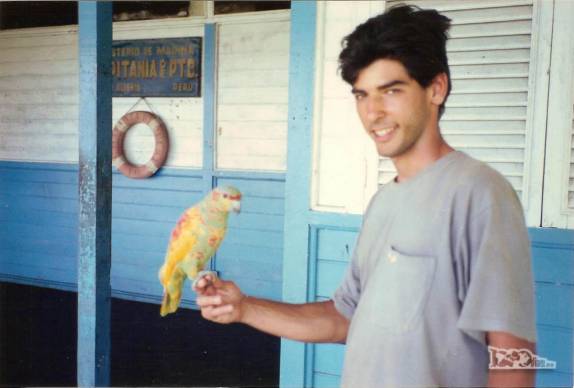 Um papagaio todo colorido em Santa Rosa,  fronteira entre Peru e Brasil, no rio Amazonas (foto de Julho de 1990)